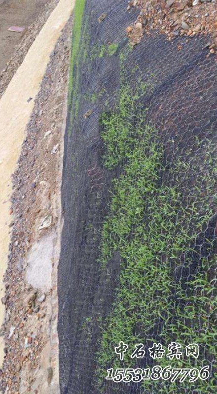 加筋麥克墊護坡 加筋麥克墊護坡