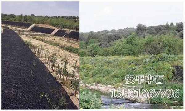 山坡覆綠加筋麥克墊.jpg 山坡覆綠加筋麥克墊.jpg