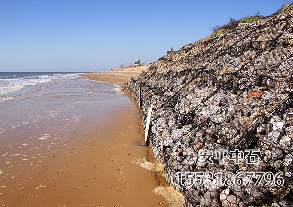 綠濱墊.jpg 綠濱墊.jpg